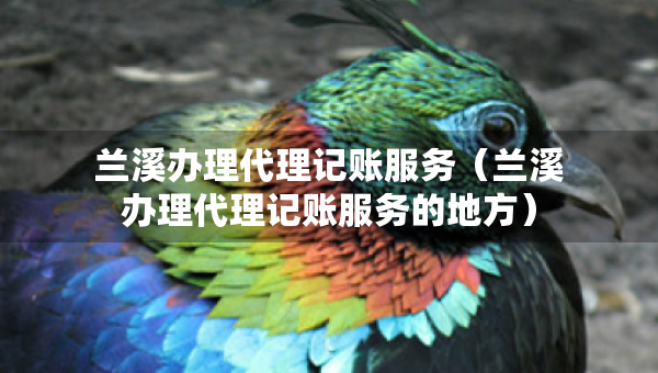 兰溪办理代理记账服务（兰溪办理代理记账服务的地方）