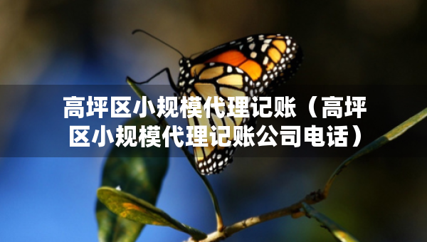 高坪区小规模代理记账（高坪区小规模代理记账公司电话）