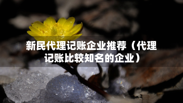 新民代理记账企业推荐（代理记账比较知名的企业）