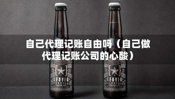 自己代理记账自由吗（自己做代理记账公司的心酸）