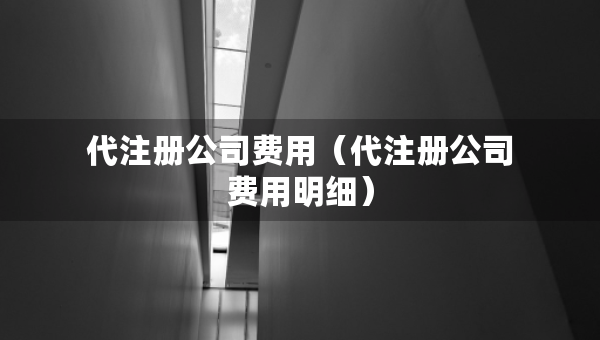 代注册公司费用（代注册公司费用明细）