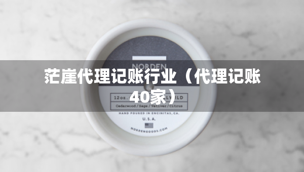 茫崖代理记账行业（代理记账40家）