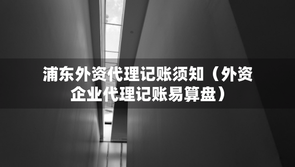 浦东外资代理记账须知（外资企业代理记账易算盘）