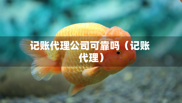 记账代理公司可靠吗（记账 代理）