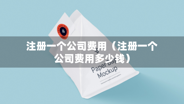 注册一个公司费用（注册一个公司费用多少钱）