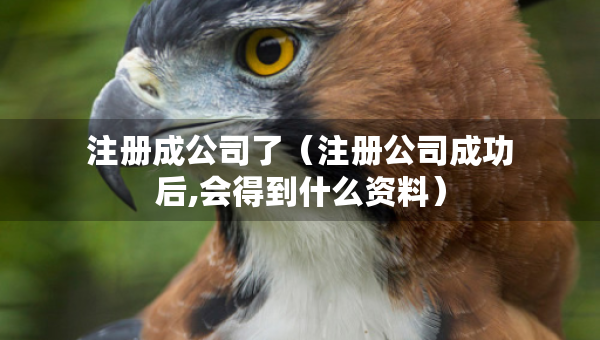 注册成公司了（注册公司成功后,会得到什么资料）