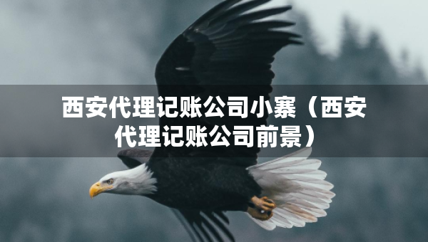 西安代理记账公司小寨（西安代理记账公司前景）