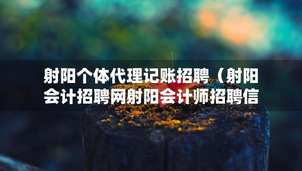 射阳个体代理记账招聘（射阳会计招聘网射阳会计师招聘信息）