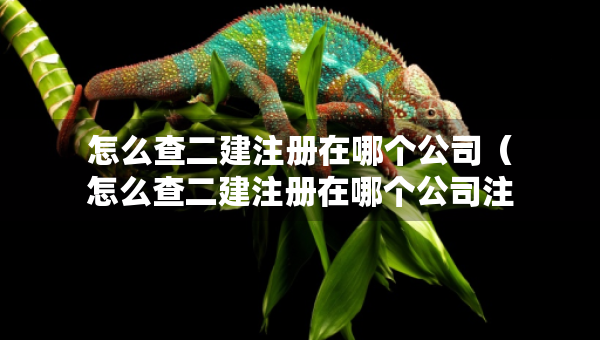 怎么查二建注册在哪个公司（怎么查二建注册在哪个公司注册的）