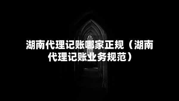 湖南代理记账哪家正规（湖南代理记账业务规范）