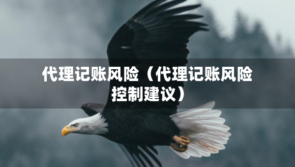 代理记账风险（代理记账风险控制建议）