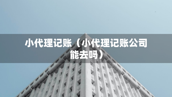 小代理记账（小代理记账公司能去吗）