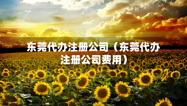 东莞代办注册公司（东莞代办注册公司费用）