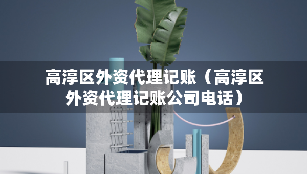 高淳区外资代理记账（高淳区外资代理记账公司电话）