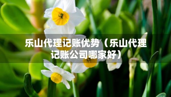 乐山代理记账优势(乐山代理记账公司哪家好) 乐山代理记账优势(乐山代理记账公司哪家好)