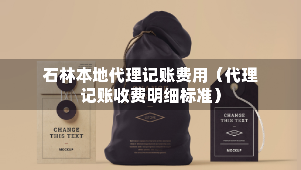 石林本地代理记账费用（代理记账收费明细标准）