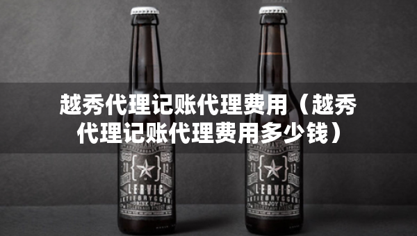 越秀代理记账代理费用（越秀代理记账代理费用多少钱）