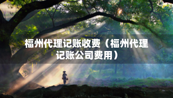 福州代理记账收费（福州代理记账公司费用）
