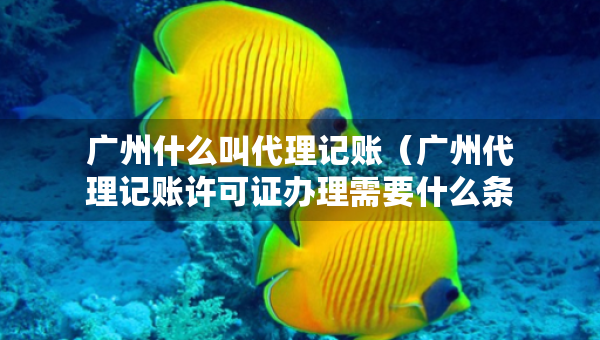广州什么叫代理记账（广州代理记账许可证办理需要什么条件）
