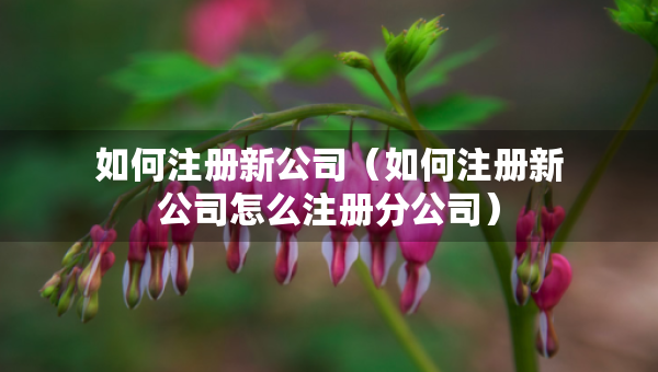 如何注册新公司（如何注册新公司怎么注册分公司）