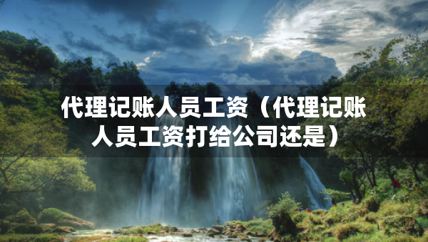 代理记账人员工资（代理记账人员工资打给公司还是）