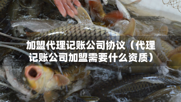 加盟代理记账公司协议（代理记账公司加盟需要什么资质）