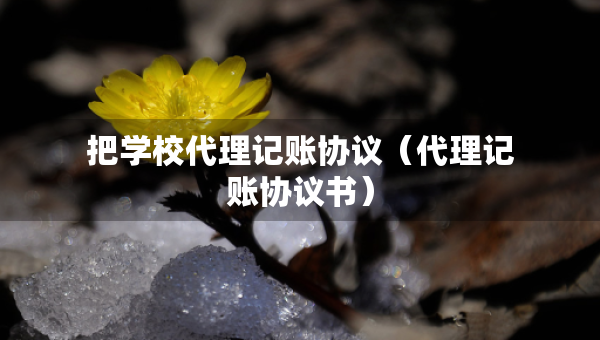 把学校代理记账协议（代理记账协议书）
