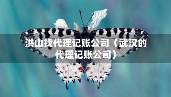 洪山找代理记账公司（武汉的代理记账公司）