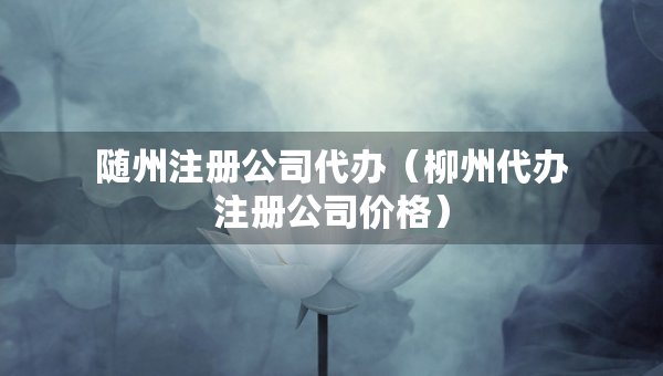 随州注册公司代办（柳州代办注册公司价格）