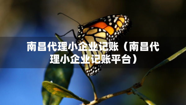 南昌代理小企业记账（南昌代理小企业记账平台）