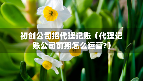 初创公司招代理记账（代理记账公司前期怎么运营?）
