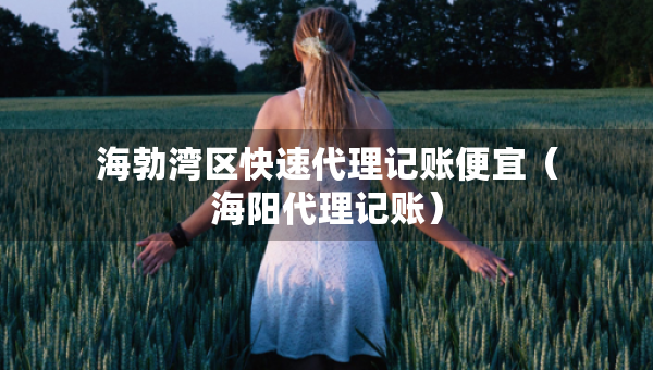 海勃湾区快速代理记账便宜（海阳代理记账）