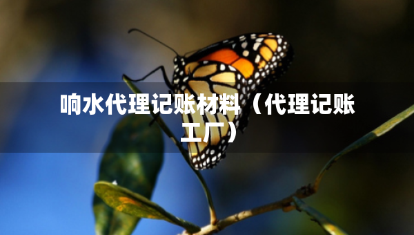 响水代理记账材料（代理记账工厂）
