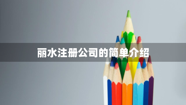丽水注册公司的简单介绍