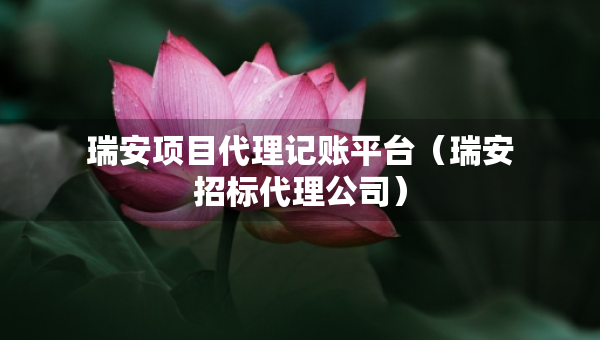 瑞安项目代理记账平台（瑞安招标代理公司）