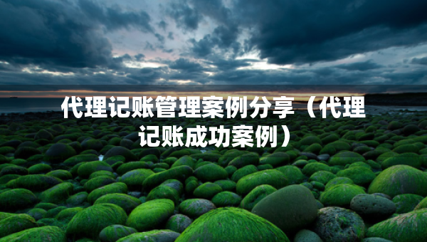 代理记账管理案例分享（代理记账成功案例）