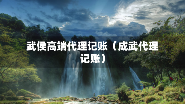 武侯高端代理记账（成武代理记账）