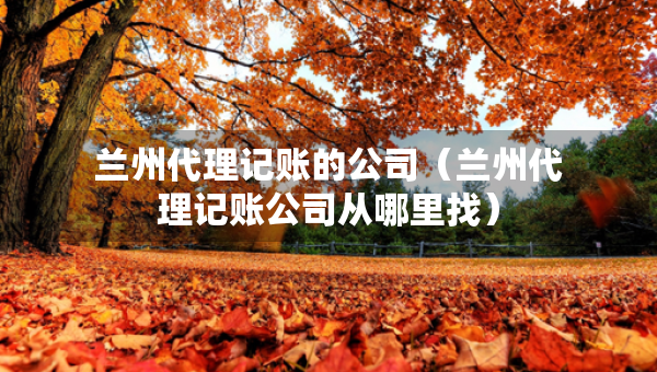 兰州代理记账的公司（兰州代理记账公司从哪里找）