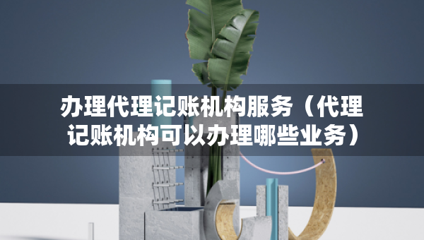 办理代理记账机构服务（代理记账机构可以办理哪些业务）