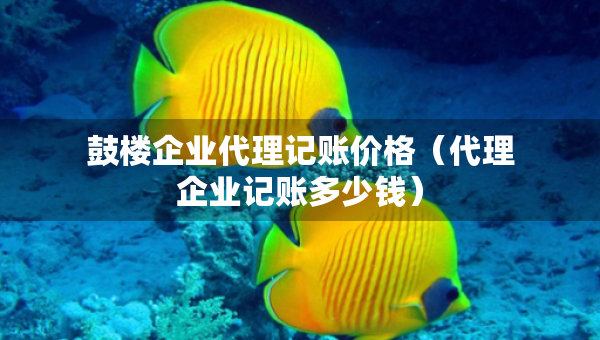 鼓楼企业代理记账价格（代理企业记账多少钱）