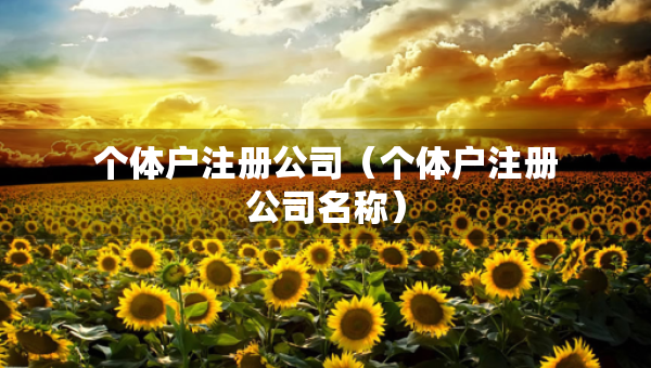 个体户注册公司（个体户注册公司名称）