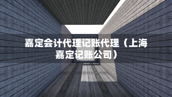 嘉定会计代理记账代理（上海嘉定记账公司）