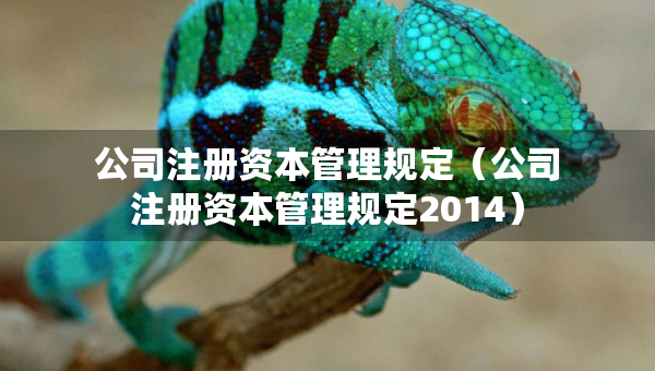 公司注册资本管理规定（公司注册资本管理规定2014）