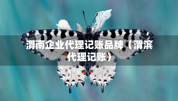 渭南企业代理记账品牌(渭滨代理记账) 渭南企业代理记账品牌(渭滨代理记账)