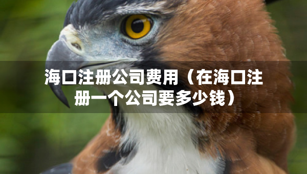 海口注册公司费用（在海口注册一个公司要多少钱）
