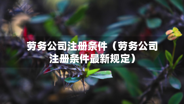 劳务公司注册条件（劳务公司注册条件最新规定）