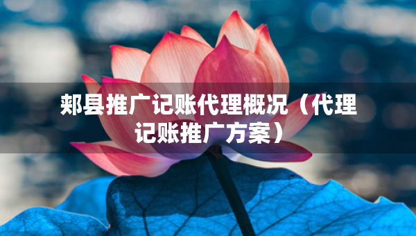 郏县推广记账代理概况（代理记账推广方案）