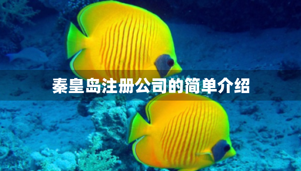 秦皇岛注册公司的简单介绍