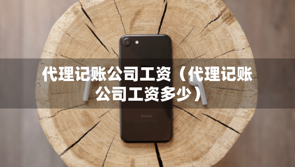 代理记账公司工资（代理记账公司工资多少）