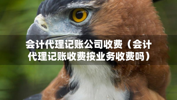 会计代理记账公司收费（会计代理记账收费按业务收费吗）